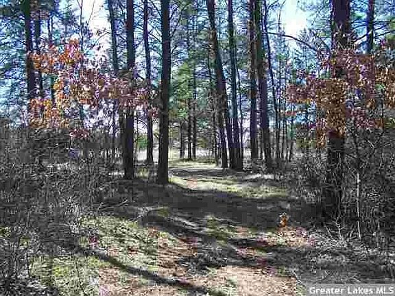3rd image of 27294 Far North Dr