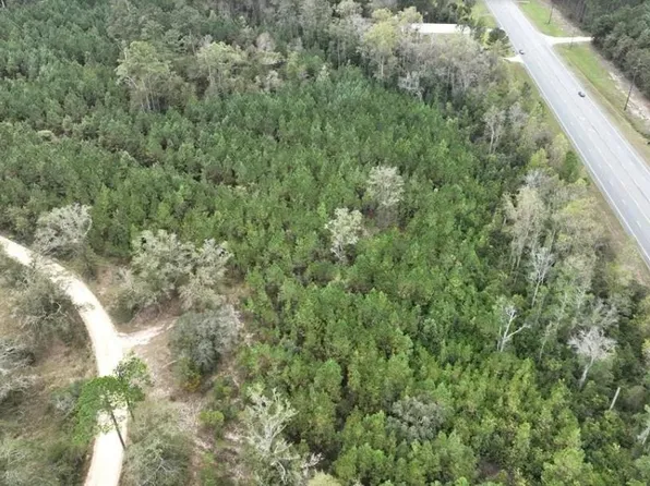1 Dale Mill Rd, Screven, GA 31560