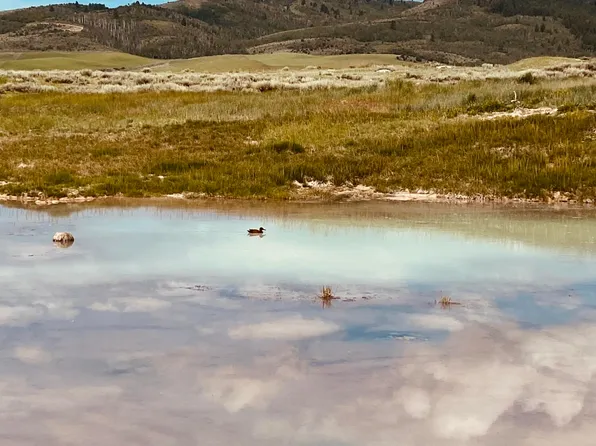 Hot Springs Auburn Forest Rd, Auburn, WY 83111