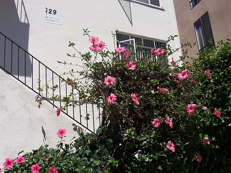 Gayley Manor Apartments — Photo 9