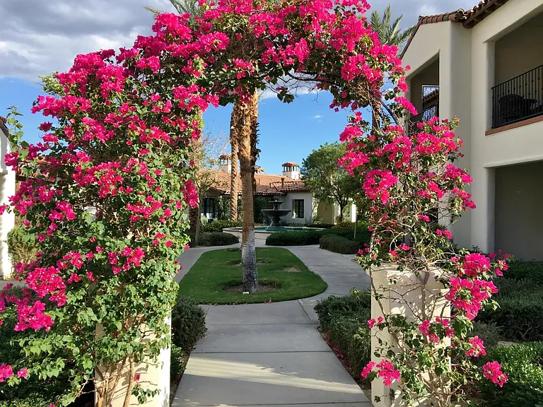 View from Patio