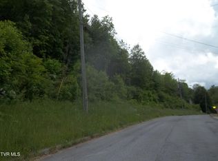 433 Creekside Dr, Mount Carmel, TN 37645