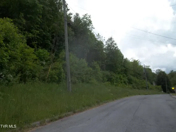 433 Creekside Dr, Mount Carmel, TN 37645