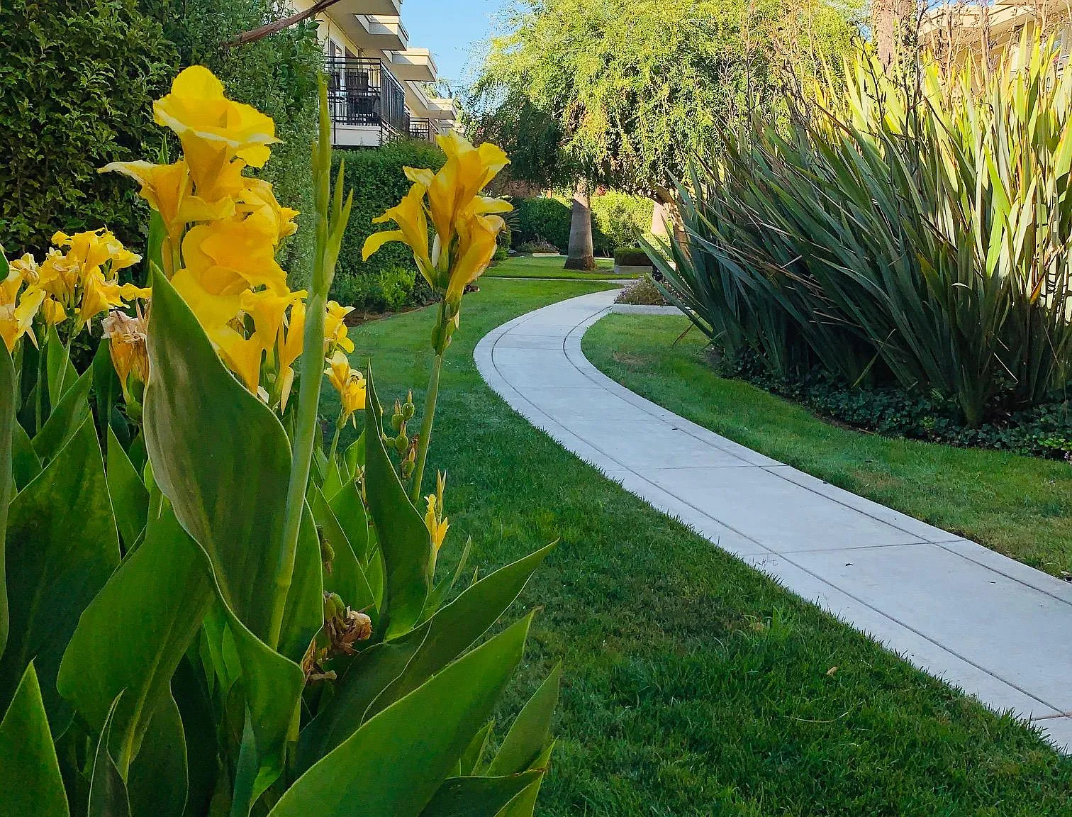 Pamela Drive Apartments — Photo 4