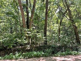 2nd image of LOT 289 Ivy Ln