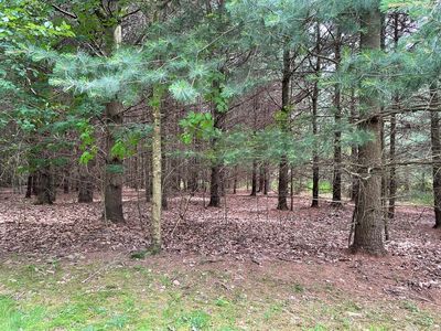 0 Mount Larel Lane Lots 8 #&-9, Gaines, PA, 16921