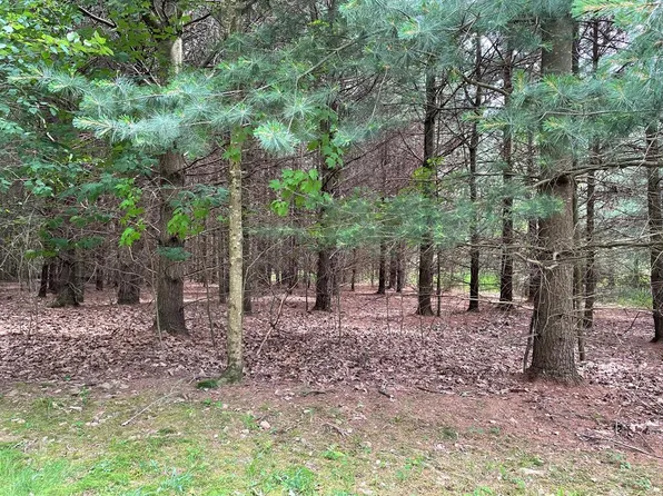 0 Mount Larel Lane Lots 8 #&-9, Gaines, PA 16921