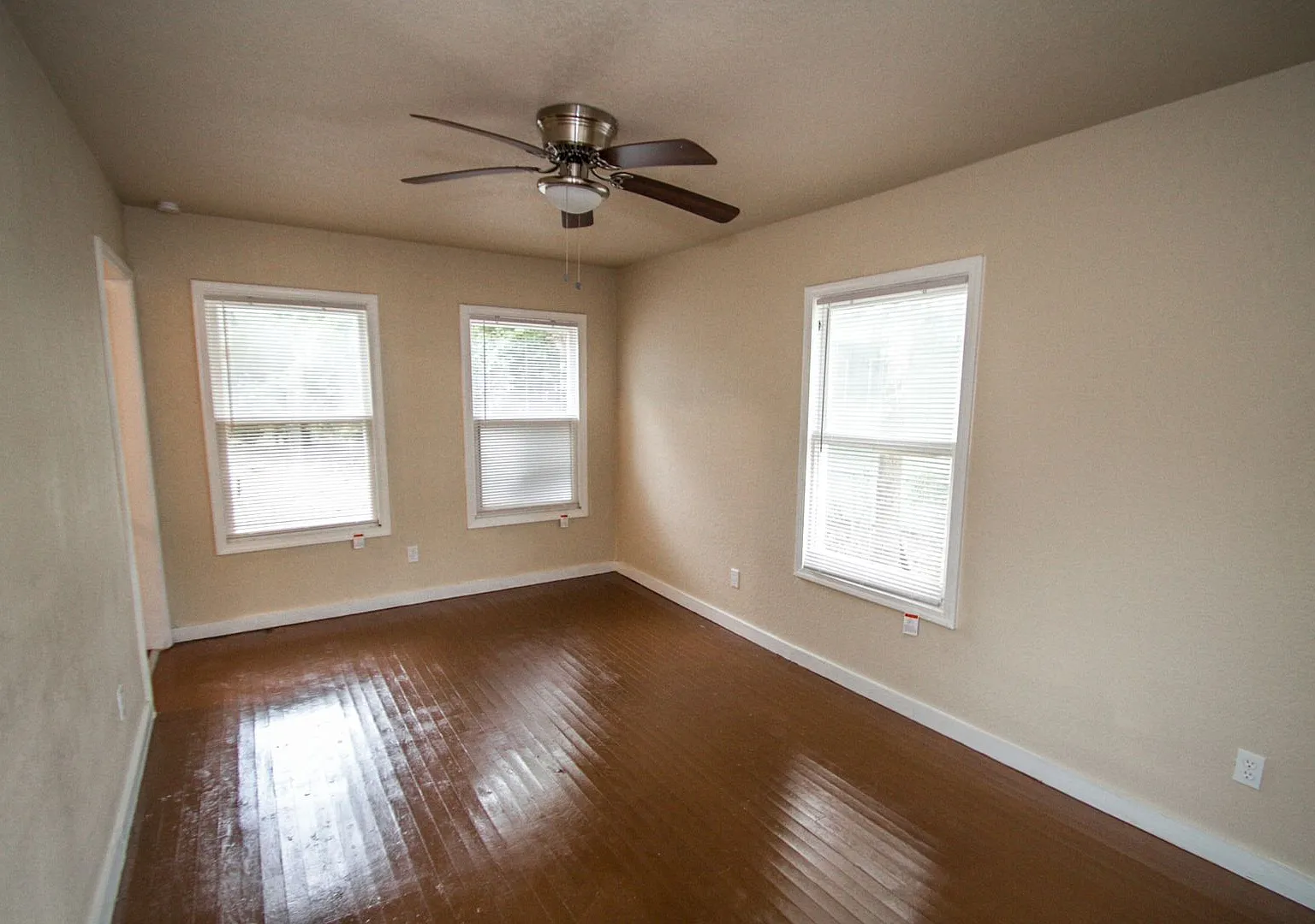 930 Poinsettia — Photo 3