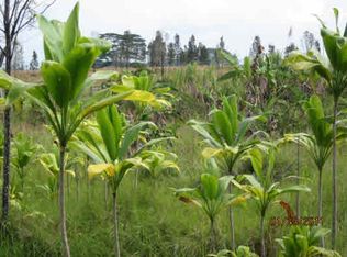 18-3937 S Pszyk Rd LOT 3, Mountain View, HI 96771