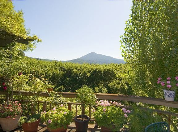 Large deck with Tam view