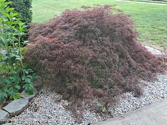 4th image of 566 Waterford Dr