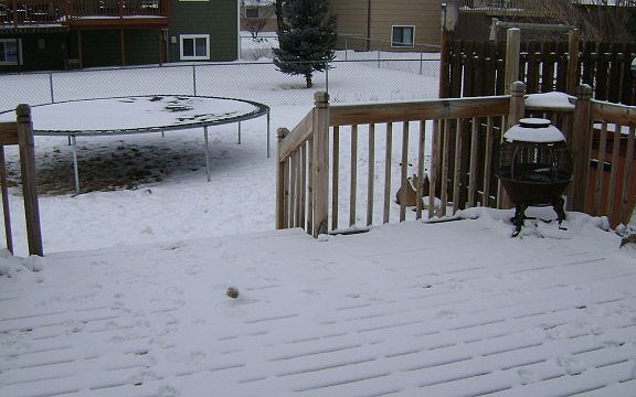 2nd image of 2463 Ellendale Dr