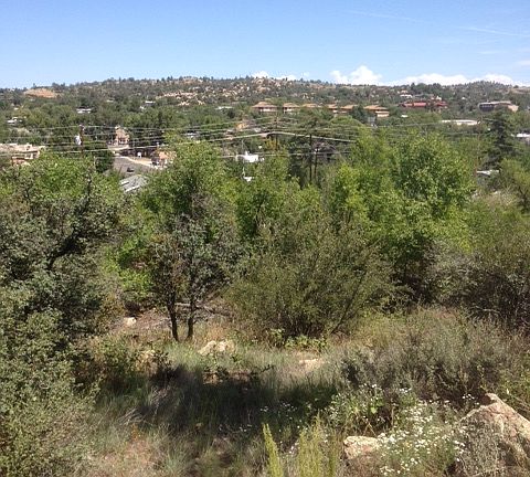 4th image of 605 N Bagby Dr