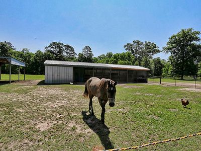 6811 Dusty Ln, Conroe, TX, 77306
