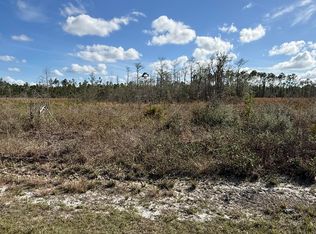 21703 Beech Valley Rd, Altha, FL 32421