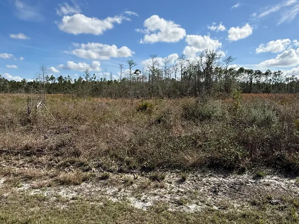 21703 Beech Valley Rd, Altha, FL 32421