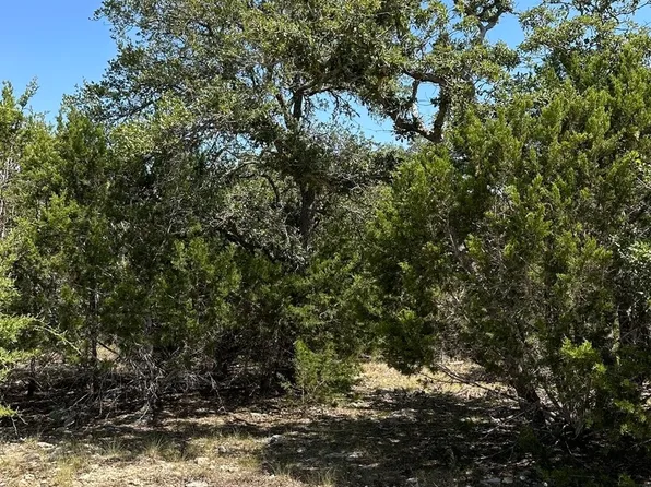 488 Viento Cove LOT 14, Blanco, TX 78606