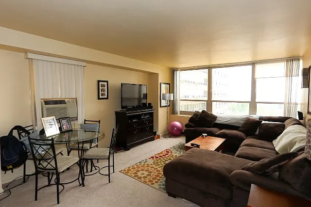 3950 N Lake Shore Dr #C2101 — Photo 6