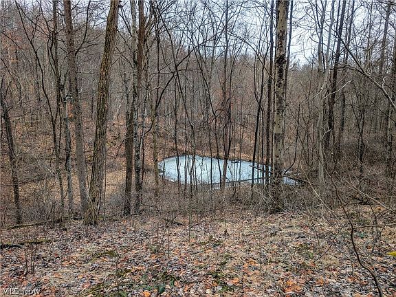 4th image of 0 Barber Ridge Rd Tract 8