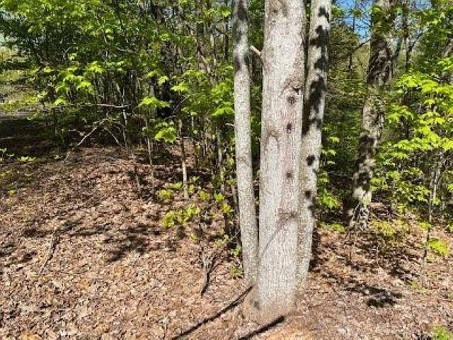 1st image of 72 Poplar Pl Lot 72