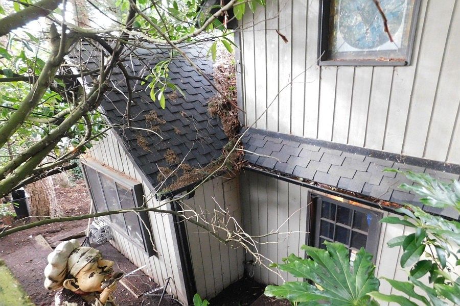 1235 Madrona Ave, Everett, WA 98203 Zillow