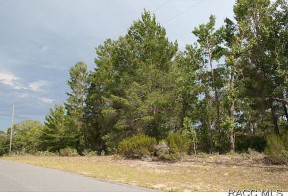 5th image of 2900 W Santana Dr
