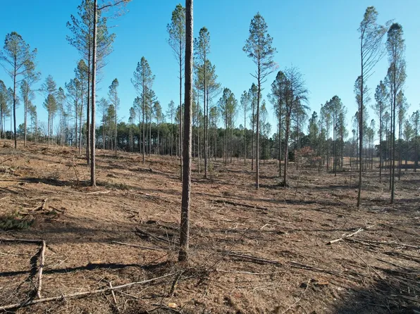 6125 Gillchrist Rd, Cypress Inn, TN 38452