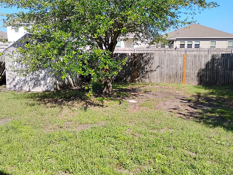 backyard with shed_05282026