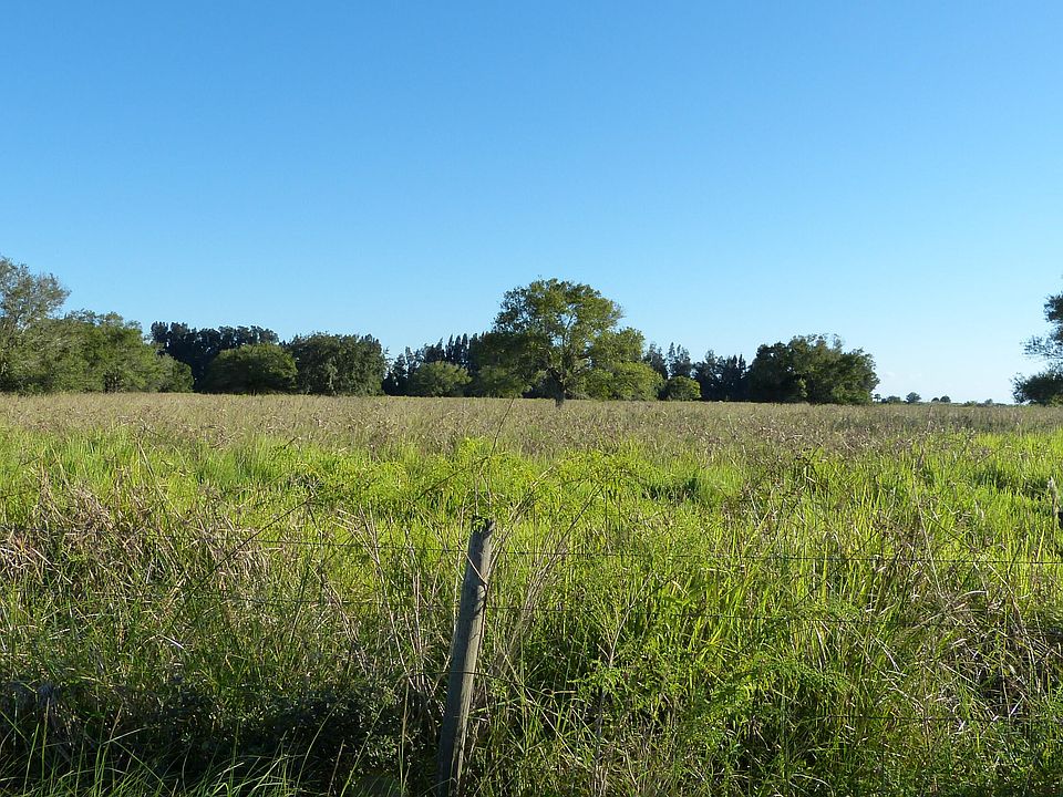 2nd image of Tbd 2 Pineapple Lane