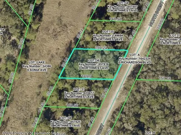 7352 Northwest Ave, Webster, FL 33597