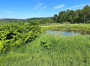 884 Moore Hill Rd, Ulster, PA 18850