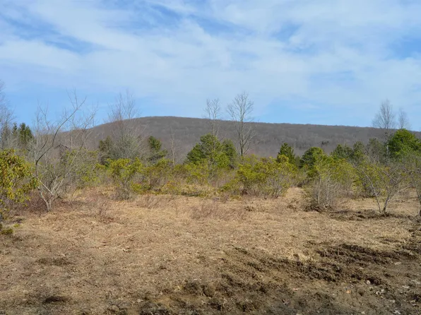 4 Grosbeak Dr, Terra Alta, WV 26764