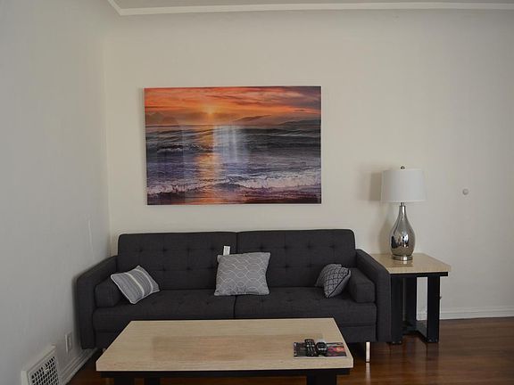 Family Room Couch/Futon