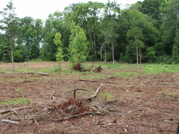 1 County Road 4118, Jacksonville, TX 75766