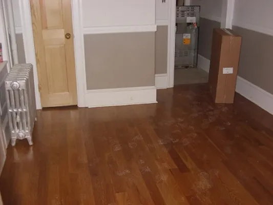 Rented by Standard Realty | media 25