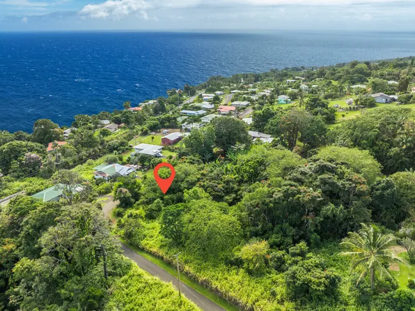 Puualaea Homestead Rd Lot 24, Laupahoehoe, HI 96764