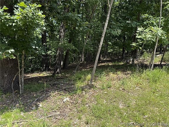 5th image of 736 Fairlawn Dr