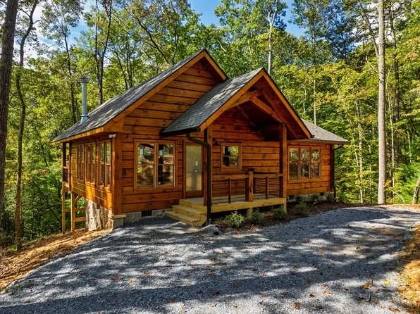 100 Crystal Oliver Ln, Cherry Log, GA 30522