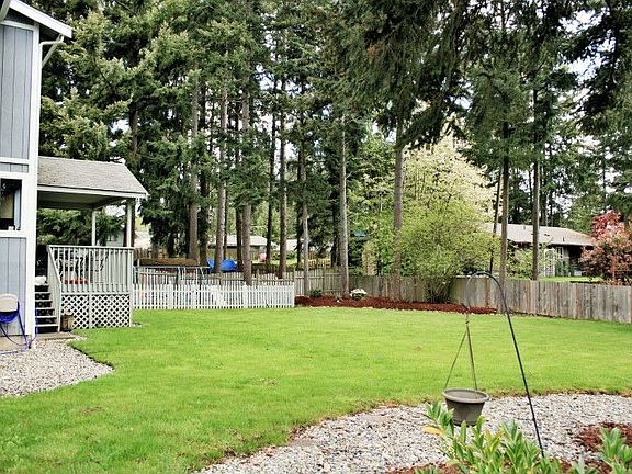 Large Backyard