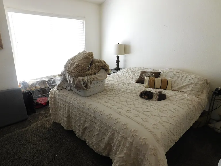 1007 Howard Ave #56 — Photo 25