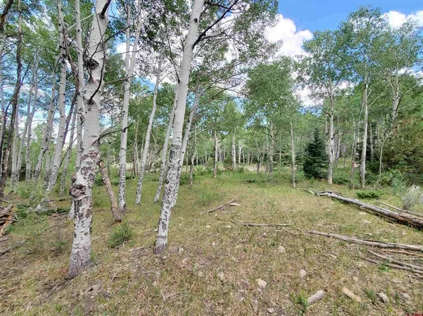  Lot 10 South Rito Hondo Court, Antonito, CO 81120