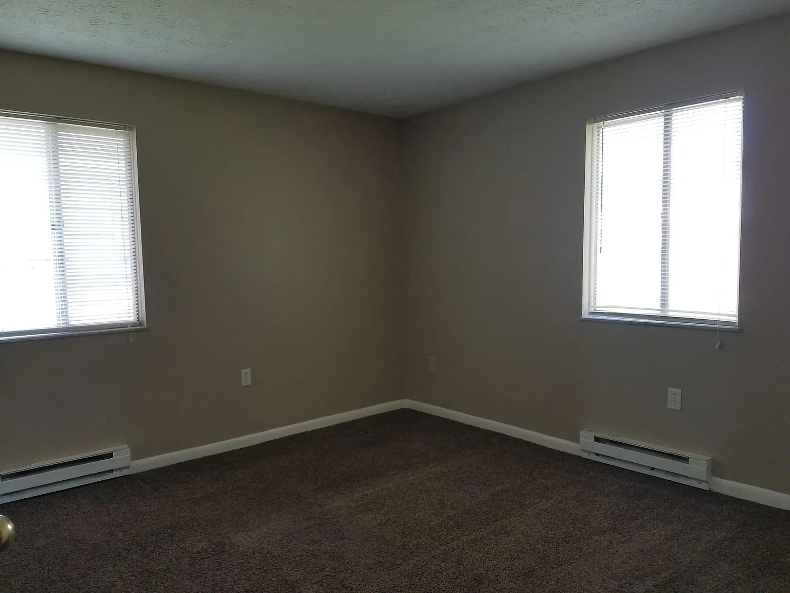 2 bed, 800 sqft, $1,100 — Photo 2