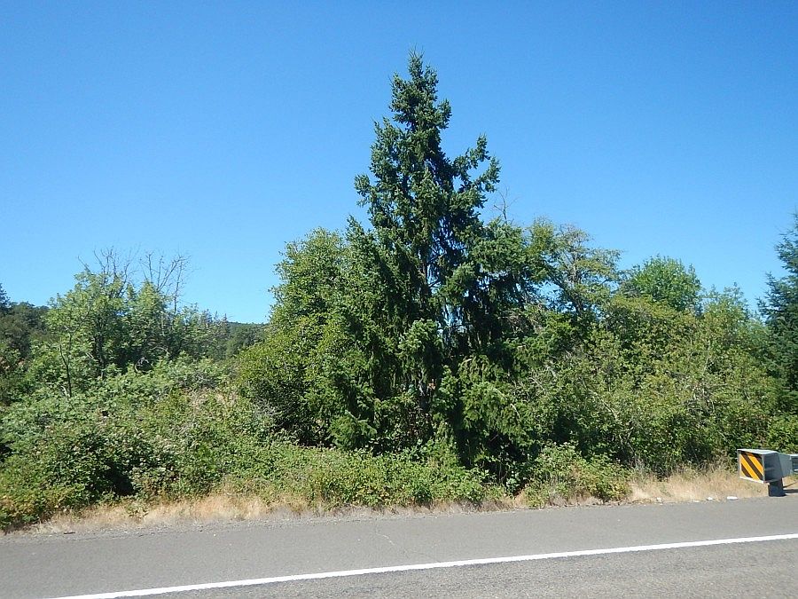 1st image of 10390 Highway 140