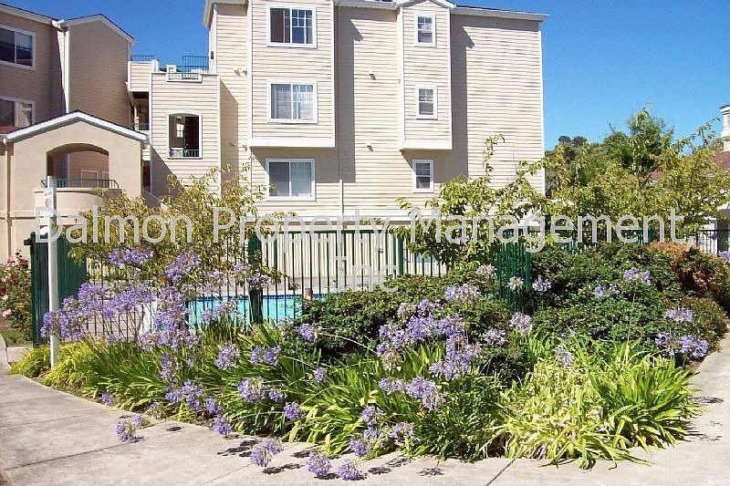 Welcome to 1579 So. Novato Blv