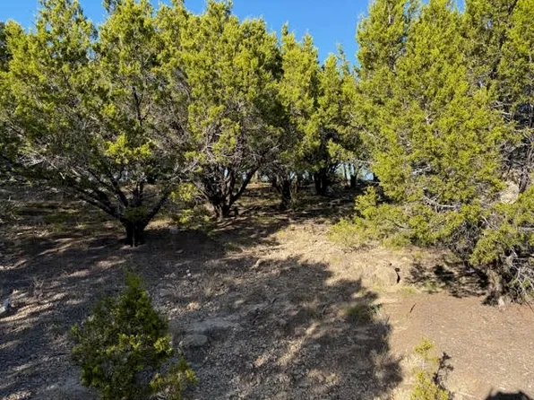 LOT 599 Caprock Ct, Graford, TX 76449