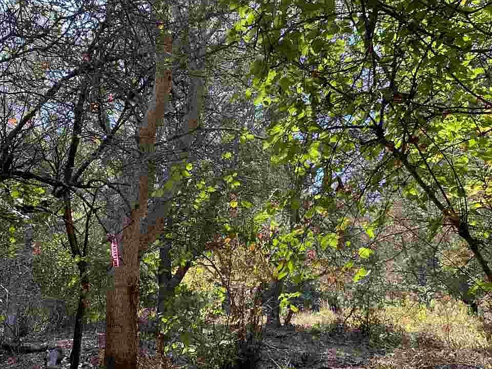 2nd image of Drury Rd