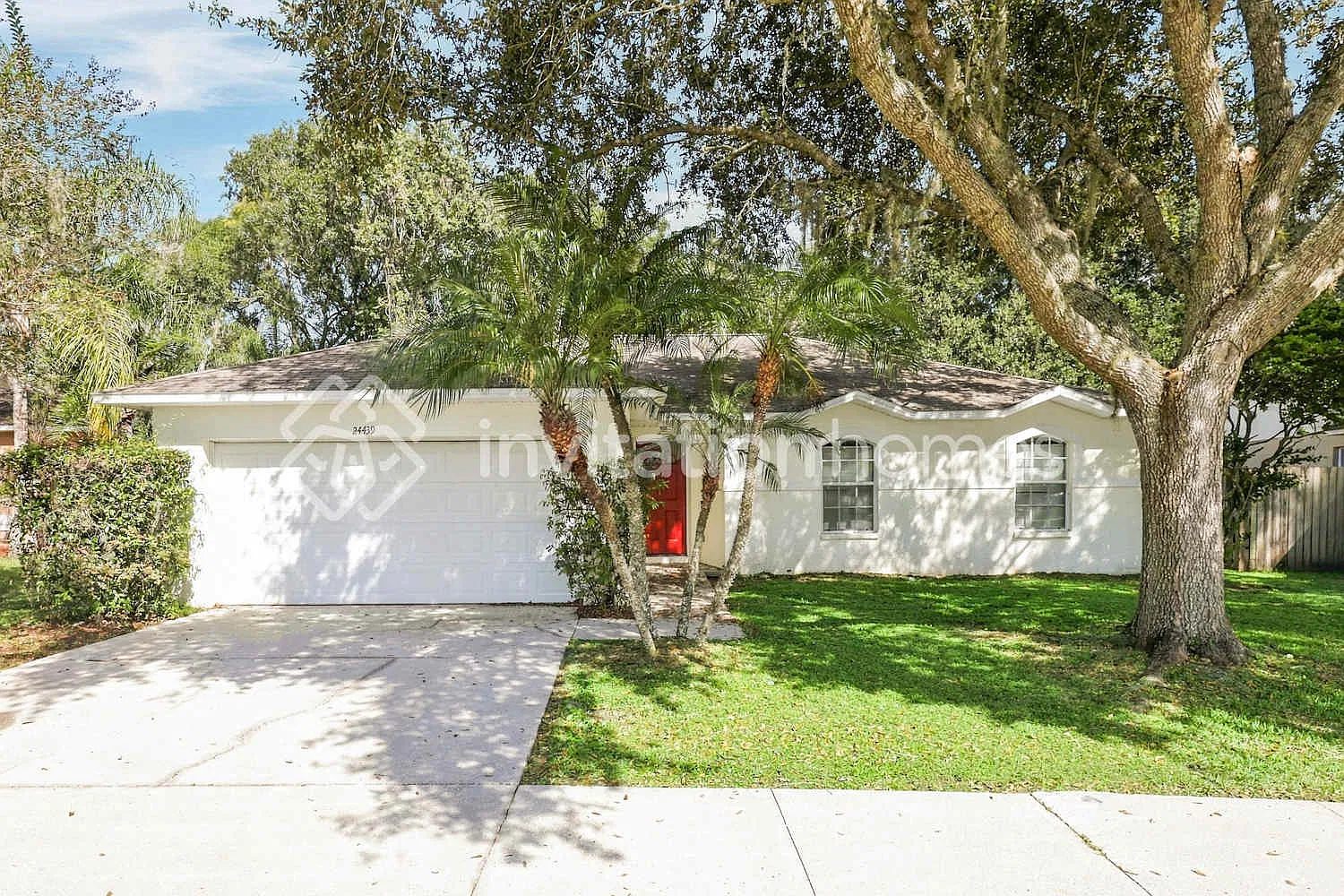 24439 Painter Dr Land O Lakes, FL 34639 — Photo 1