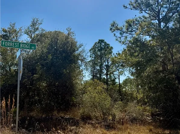 3400 Forrest Ridge Ave, Lake Placid, FL 33852