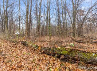 V/l W Snows Lake Rd PARCEL 1, Fenwick, MI 48834