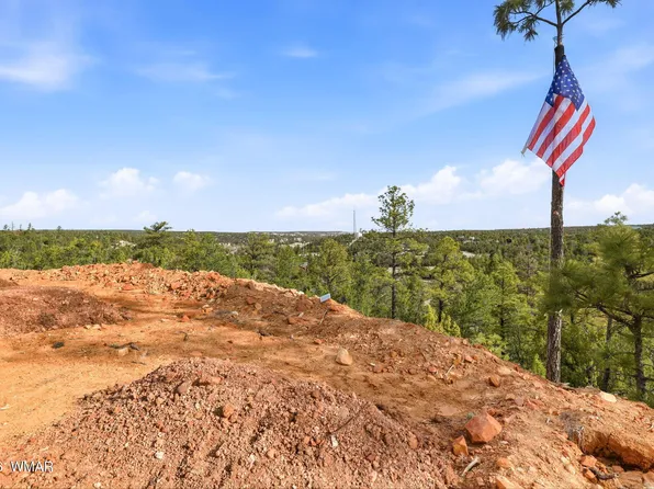 3363 Spring Ct, Heber, AZ 85928